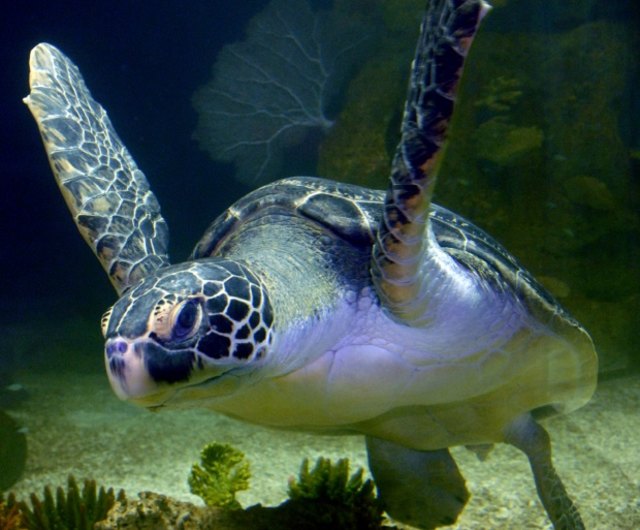 Haus des Meeres | Foto: Jutta Kirchner