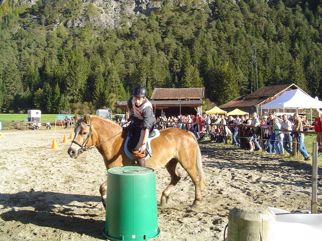 Der Reit- und Fahrverein Gurgltal lädt am 24. Oktober zur „Gurgltaltrophy 2010” ein.