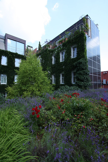 Das Gebäude bei der Stadthalle ist rundum begrünt. | Foto: Boutiquehotel