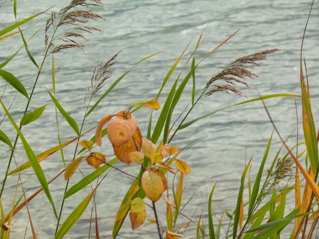 herbstliches Ostufer