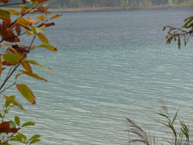 Ostufer im Herbst