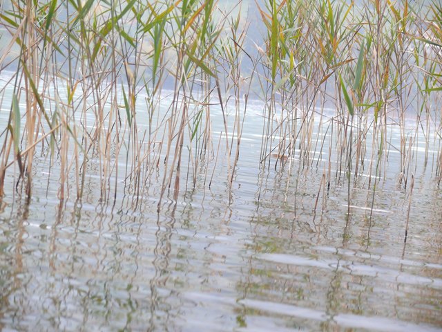 Herbst am Weissensee