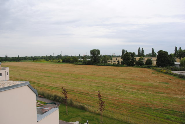 Blick von einem anliegenden Haus auf das brache Feld, auf dem das umstrittene Bauprojekt realisiert werden soll.