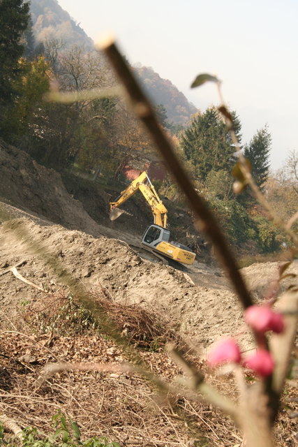 Die Revitalisierung des Silbersees ist angelaufen – sie treibt Tullnerfeldern Sorgenfalten auf die Stirn. Müssen doch 60.000 m3 Material abtransportiert werden. | Foto: Cornelia Grobner
