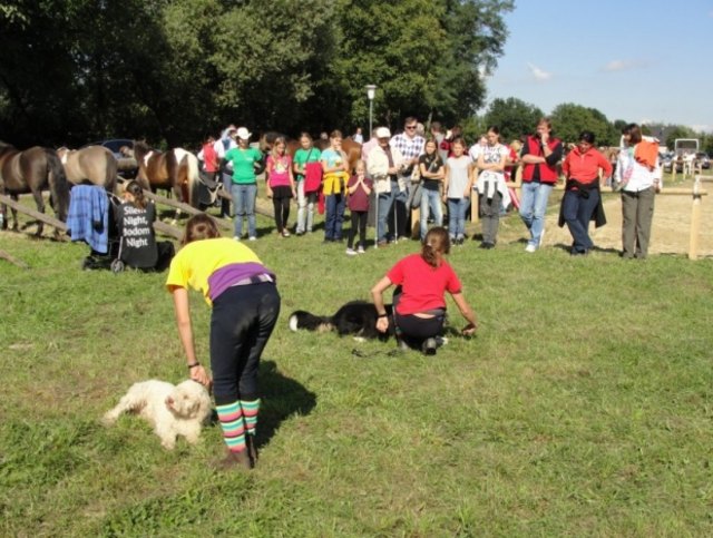 Foto: Buzanich
