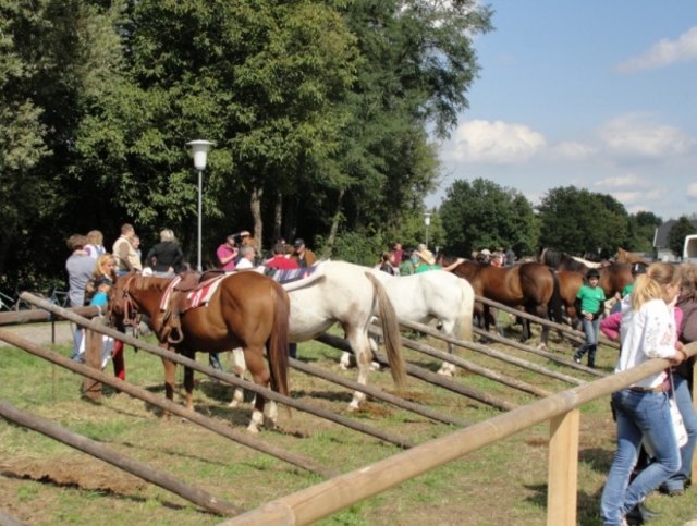 Foto: Buzanich