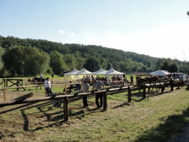 Foto: Buzanich