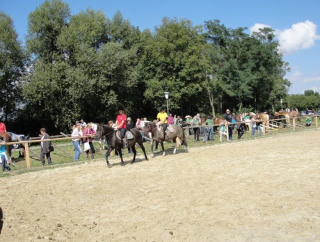 Foto: Buzanich