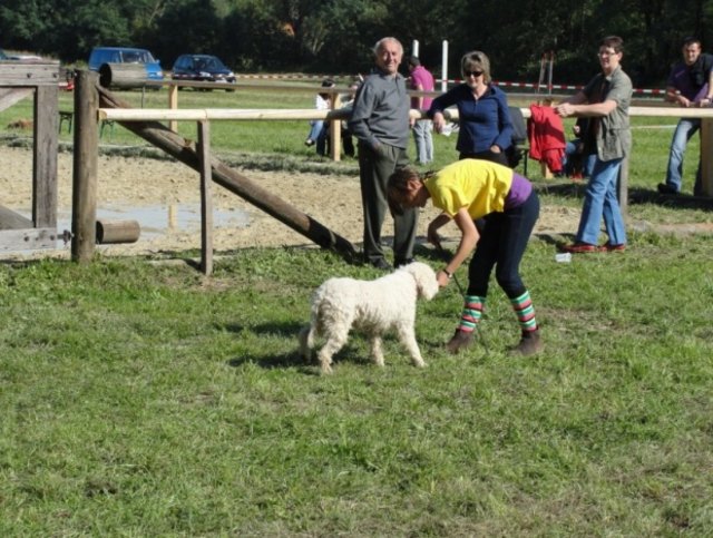 Foto: Buzanich