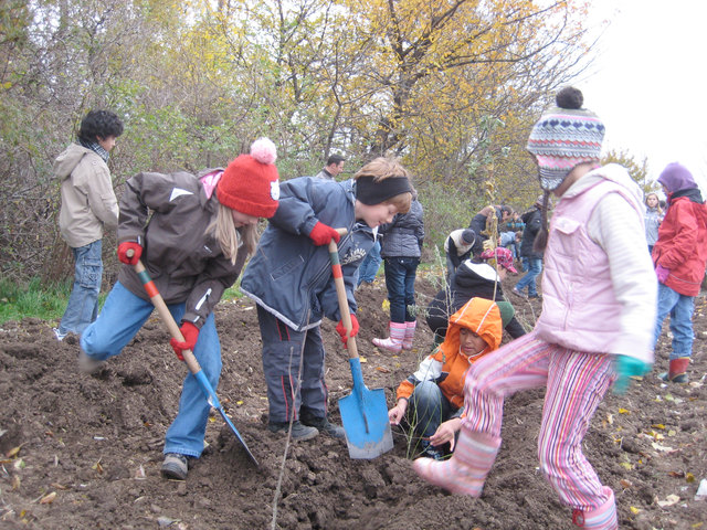 Anfang November machten sich die Kinder der 4B und der 4C der Volksschule Am Platz 2 auf den Weg, um im Rahmen der Aktionswoche „Plant for the Planet“ etwas Gutes für unsere Umwelt zu tun. Die Schüler pflanzten 400 Sträucher und Bäume.