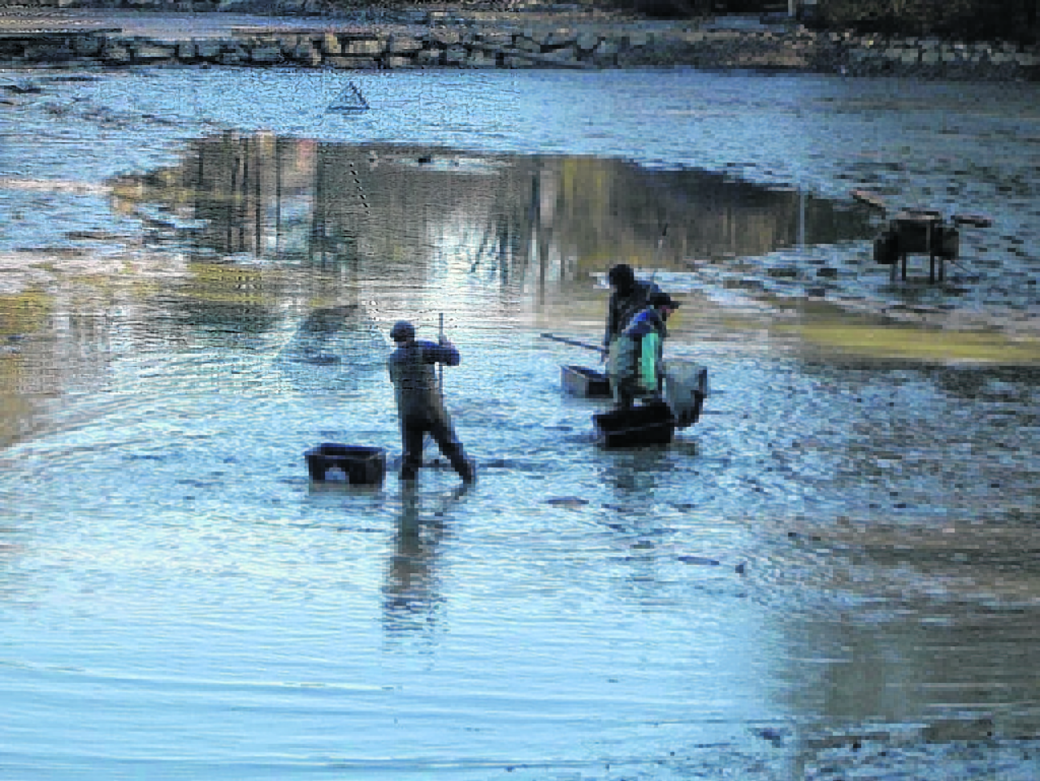 Im Trüben fischen war gestern - Graz