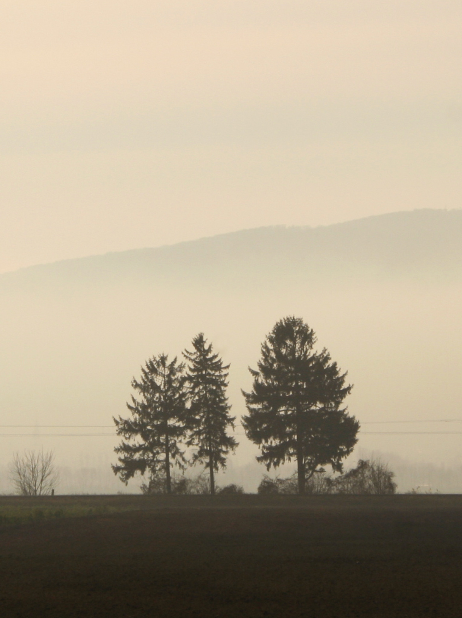 Seltsam, im Nebel zu wandern - Klosterneuburg