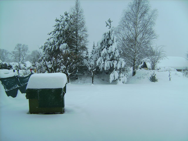 ..und es hört nicht auf zu schnein,ich hol gleich mein Häschen rein