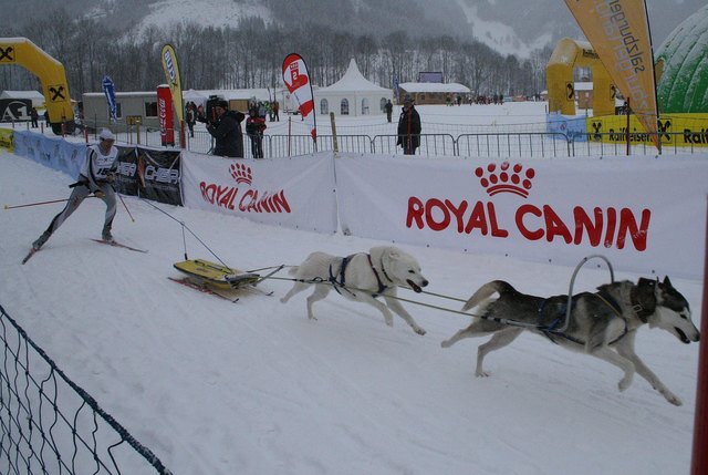 Bei der WM 2007 in Auronzo, wo Klaus Bäumler mit der Pulka (Gleitschlitten) Weltmeister wurde