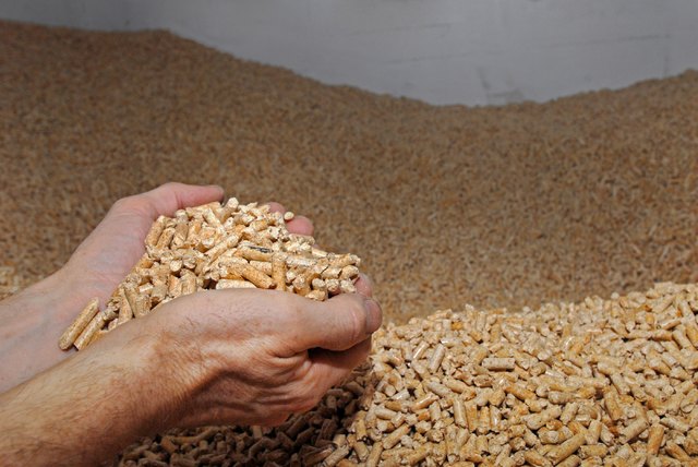 Holzpellets bestehen aus Sägemehl oder Hobelspänen und verbrennen nahezu CO2-neutral.