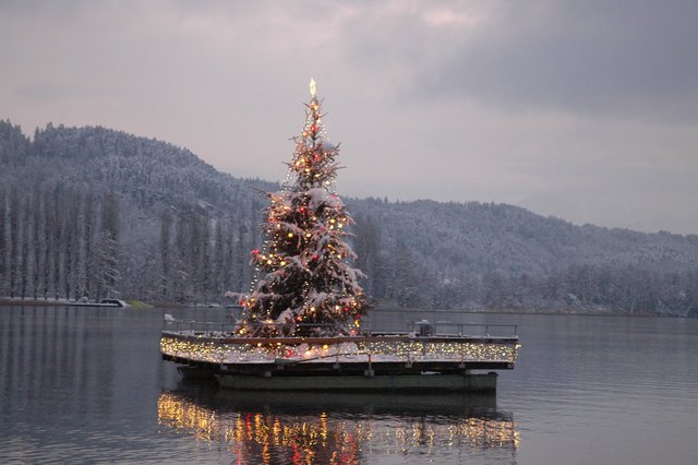 Weihnachtlich geschmückter Baum am Wörthersee