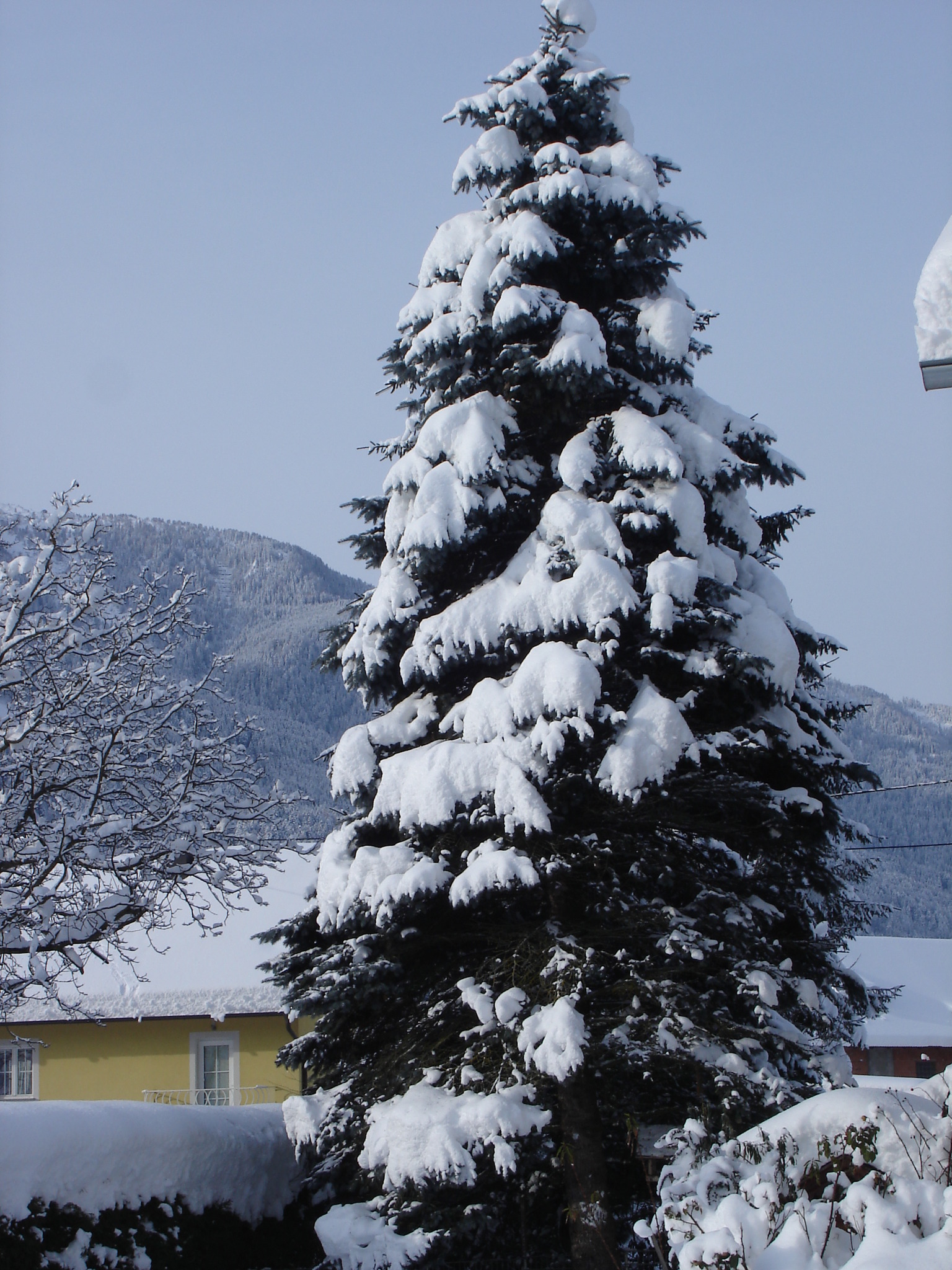 Wünsche allen Regionauten ein besinnliches Weihnachtsfest Spittal