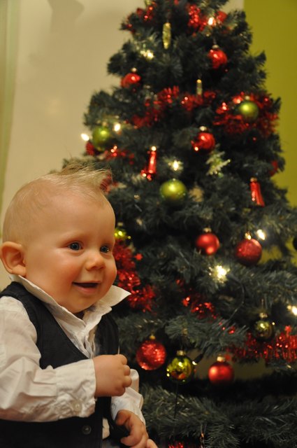 Auch heuer werden viele Geschenke unter den heimischen Christbäumen zu finden sein.
