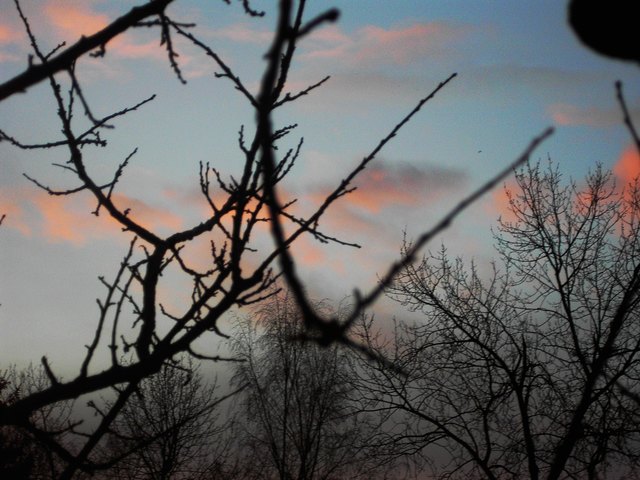 Rosa Schäfchen am Himmel