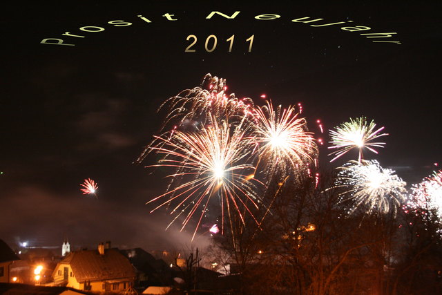 Silvester 2010