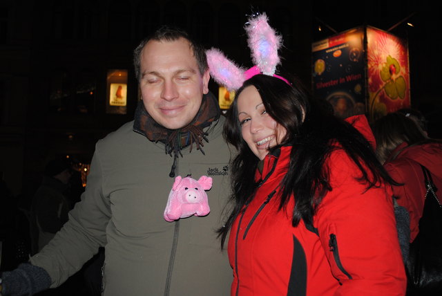 Vorfreude auf ein tolles Silvesterfeuerwerk in der Wiener Innenstadt!