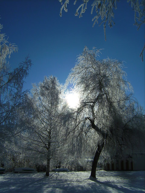 die Sonne kommt