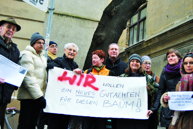 Widerstand in der Buchfeldgasse formiert sich: Anrainer und Umweltsch  ützer – darunter die Grüne Doris Müller und der rote Gemeinderat Heinz Vettermann – protestieren gegen die geplante Fällung.