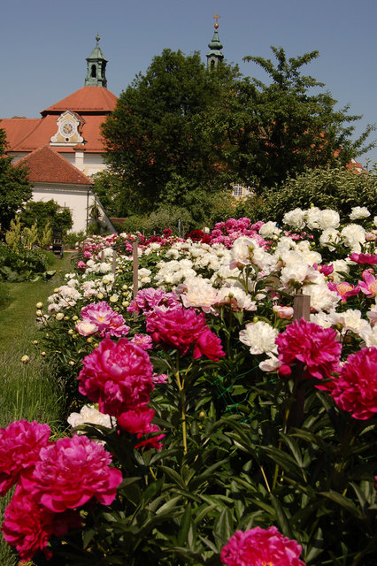Foto: PENZENDORFER