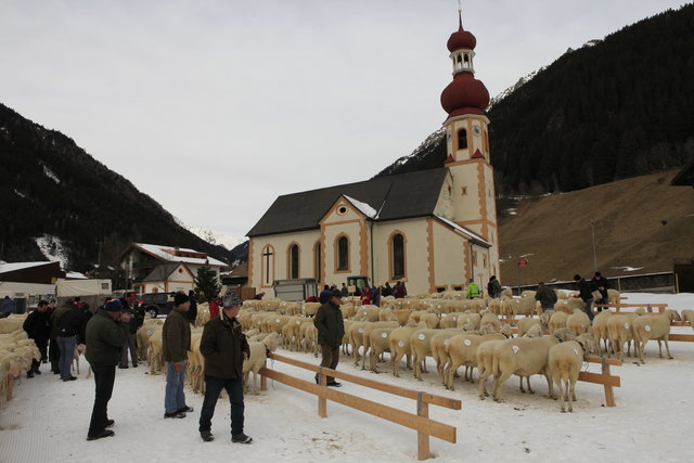 Schäflein vor der Kirche versammelt...