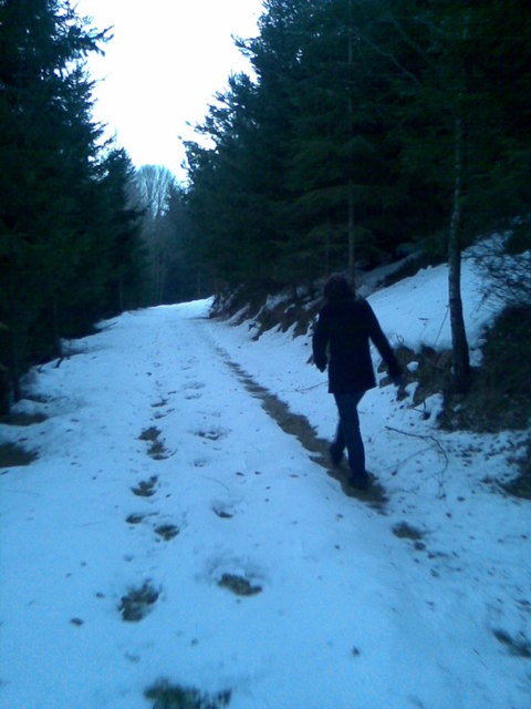 Spaziergängerin tief im Forst