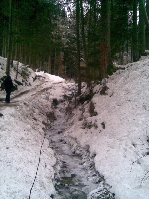 Schwarzes Muttergottes Bachl