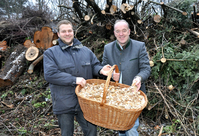 Zusammenarbeit: DI Günter Hagen(li.) und Dr. Leopold Lindebner. | Foto: Schlechta