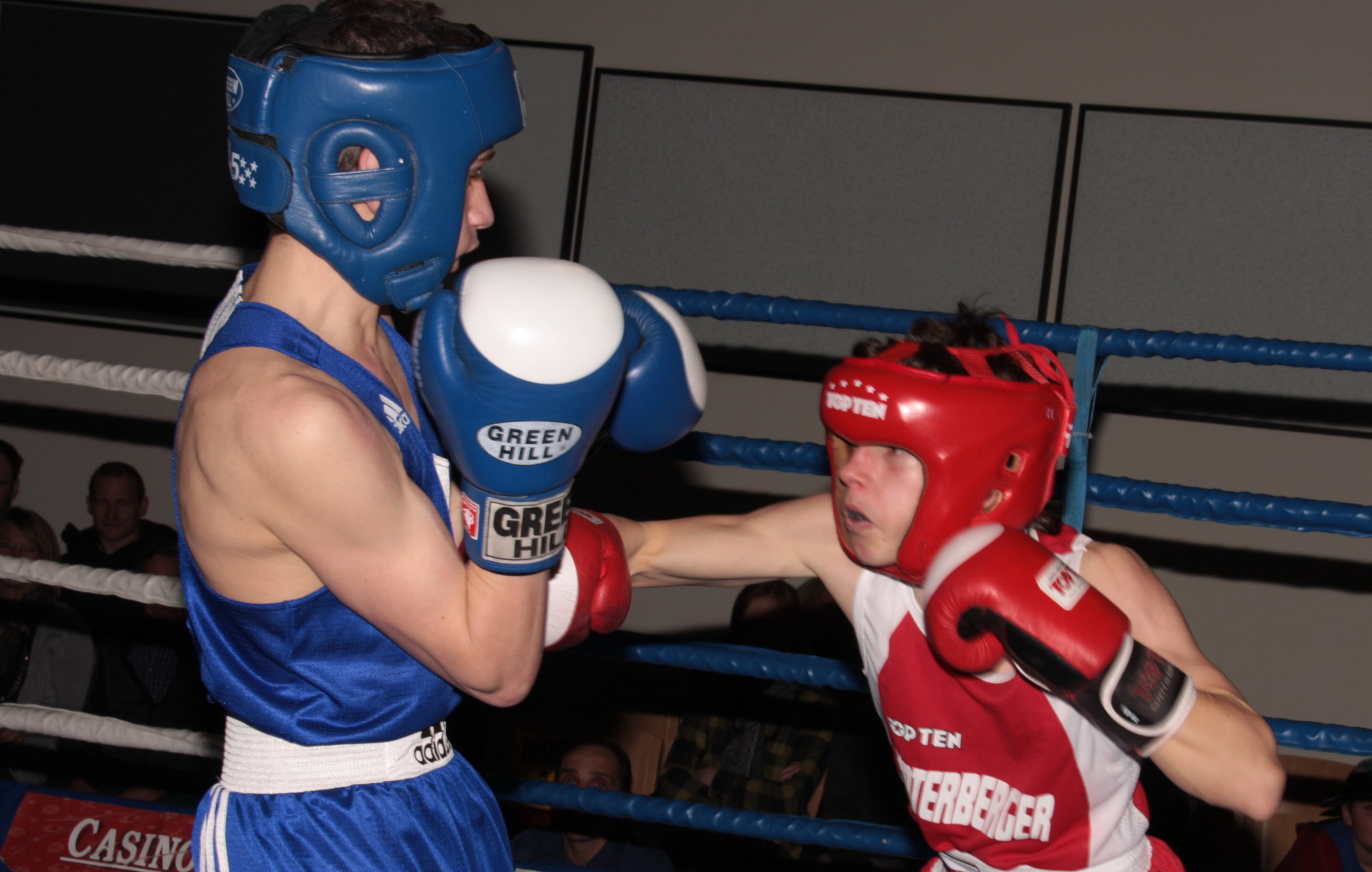 Kleiner Boxer großes Herz Kufstein