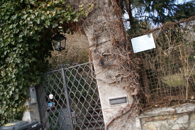 Villa: Paul-Ehrlich-Gasse 8, 1190 Wien Nach dem Tod seiner Frau Hildegarde im Jahr 2003 hatte sich Peter Alexander hier immer mehr zurückgezogen.