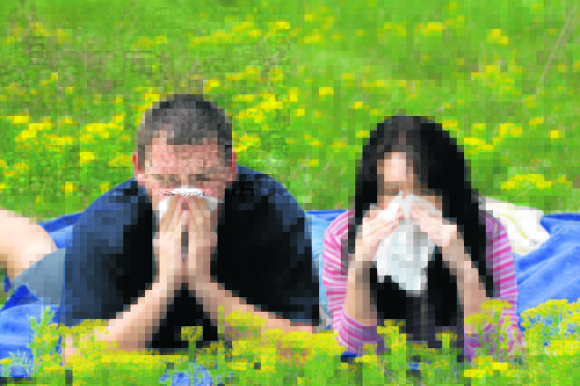 Einfach lästig: Bei Allergie wird jeder Ausflug zur Tortur. | Foto: Archiv