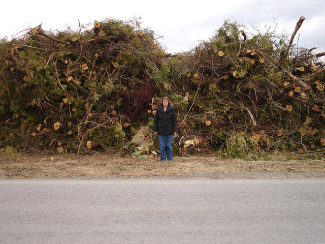 Stadträtin Liane Marecsek vor dem gerodeten Wald. | Foto: privat
