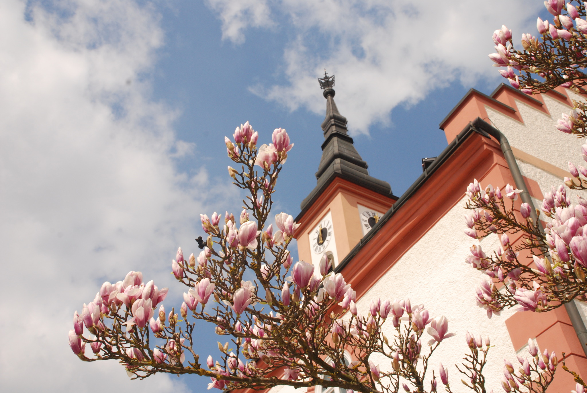 Rathaus Waidhofen an der Thaya Waidhofen/Thaya