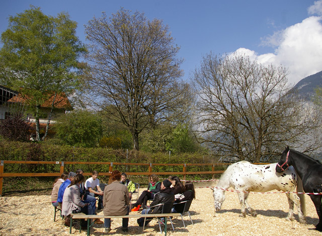Monty Roberts kümmert sich um Pferde und gibt auch Menschen gute Tipps.