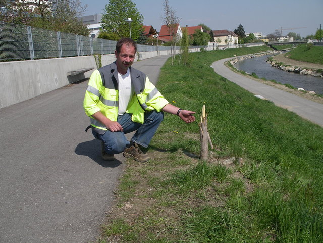 Foto: Stadt Krems