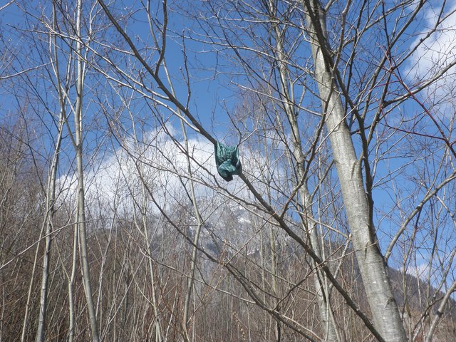 Befüllte „Gassisäckchen“ als Baumschmuck - auch damit wird die Bergwacht konfrontiert.