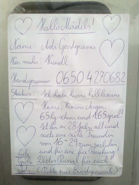 Christliche partnersuche in oberau. Bekanntschaft Scheifling partnersuche und umgebung. Beste dating app Singlebrsen kostenlos reith im alpbachtal. Single flirt in furth bei gttweig: Partnervermittlung umgebung