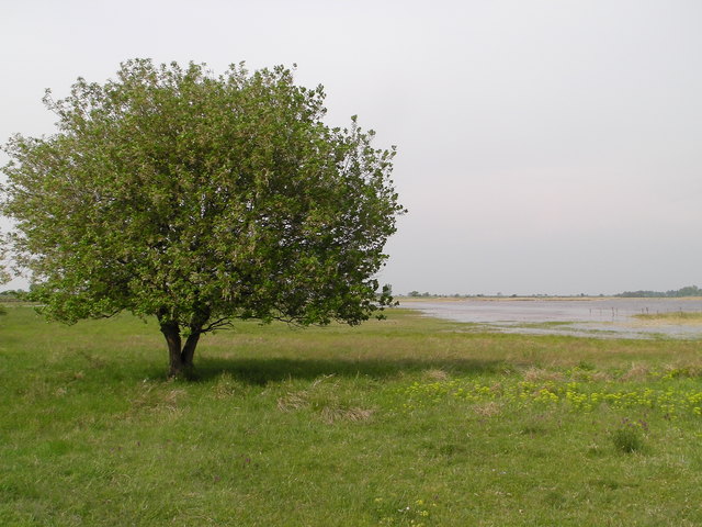 bei Illmitz aufgenommen