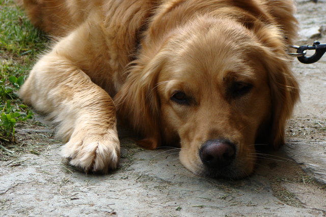 ich schau gar nicht mehr hin.......