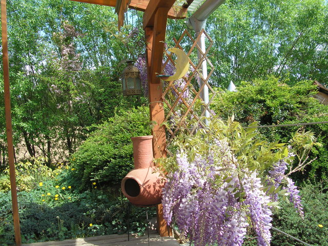 Lieblingseckerl auf der Terrasse