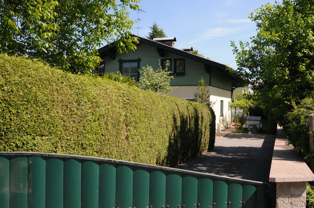 An der Ecke dieser Gartenhecke geschah das Unglück: Ein dreijähriger Rottweiler fiel über das vierjährige Mädchen her.