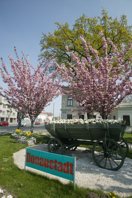 Frühling in Aspern