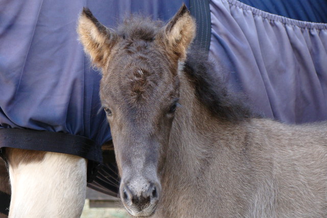Erst wenige Stunden alt und schon so hübsch!
