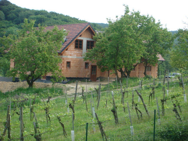 Der Rohbau steht: Nach Ansicht der Stadtgemeinde hat der Bauwerber auch eine gültige Baugenehmigung. | Foto: privat