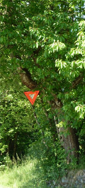 ...kurios, hängt im Baum und keine Kreuzung weit und breit...wem dies wohl gelten mag...???