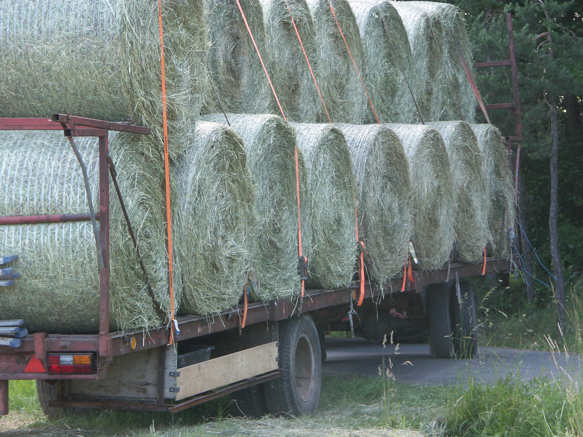 Heu, Heu, Heu!!! Südoststeiermark